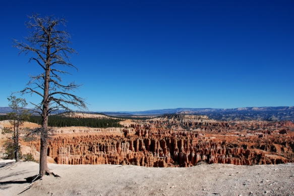 Inspiration point