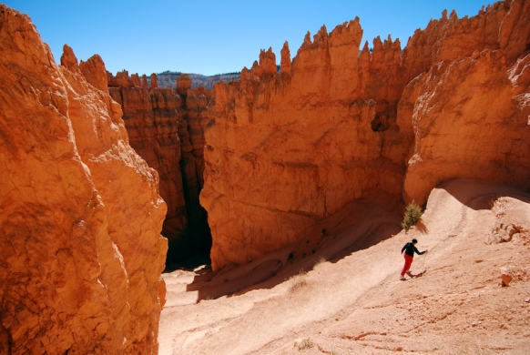 Navajo trail