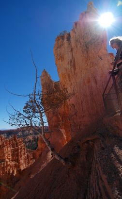 Navajo trail