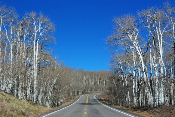 Boulder Mountain