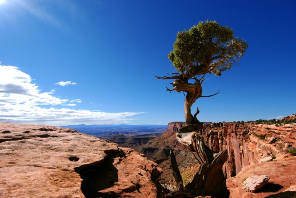 Grand View point