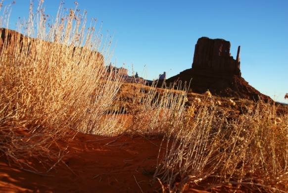 West Mitten Butte