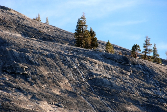 Tuolumne meadows