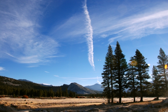 Tuolumne meadows