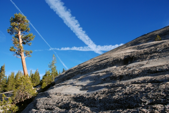 Tuolumne meadows