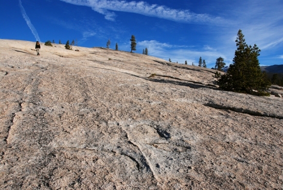 Tuolumne meadows