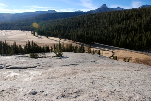 Tuolumne meadows