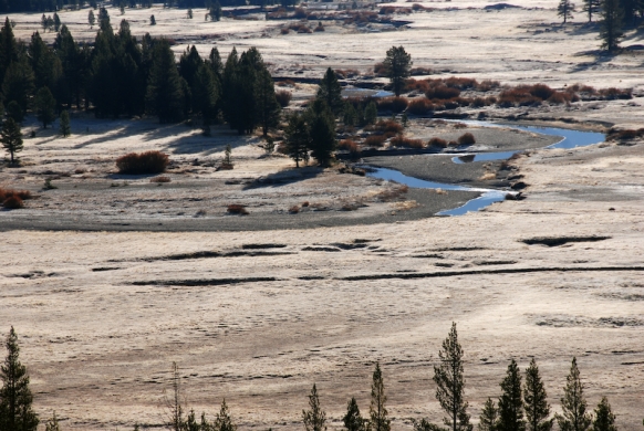 Tuolumne meadows