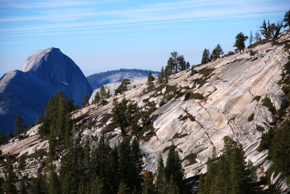 Half Dome from Omlstead point