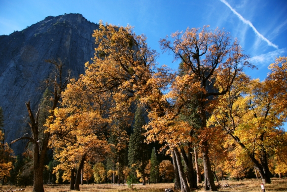 Yosemite valley