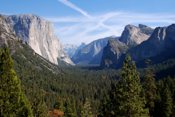 Tunnel view