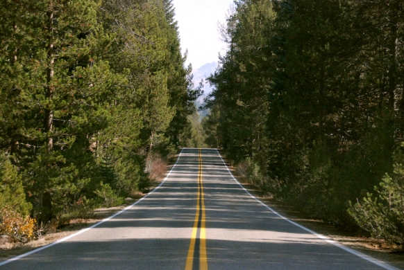 Heading to Glacier point