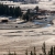 Tuolumne meadows