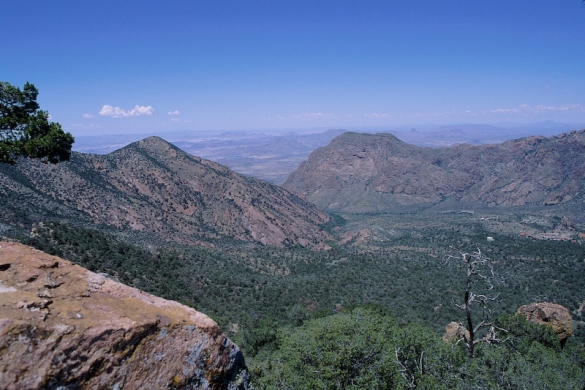 View from Emory Peak (7823 ft)