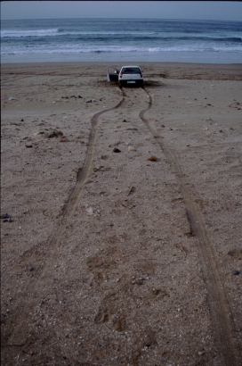 Stuck on the beach