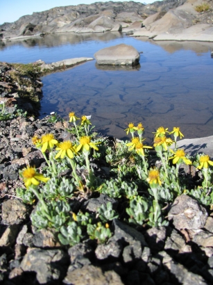 Lac de montagne