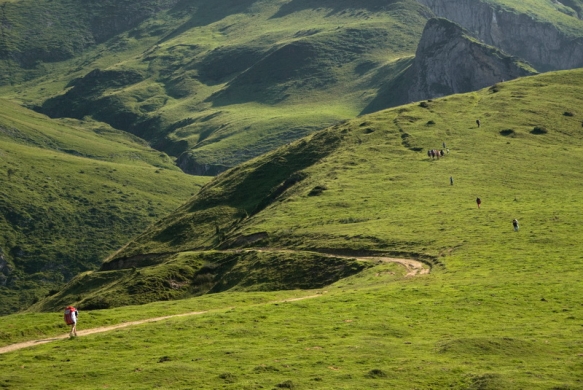 Marche d'approche