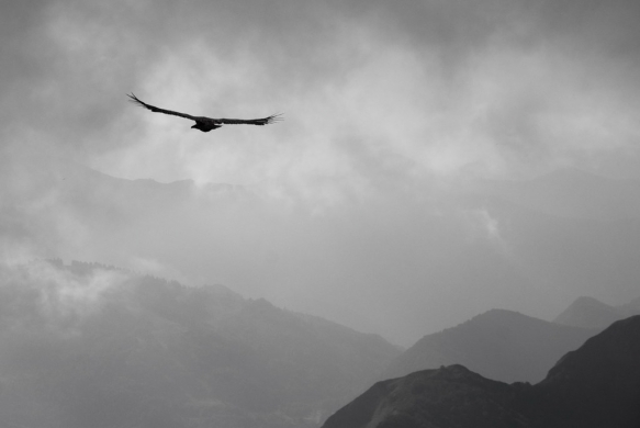 Rencontre au nuage