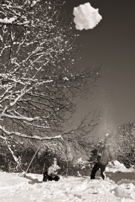 Boule de neige